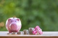 Happy Pink piggy Bank in close-up and coins stack on wooden table and nature background, Royalty Free Stock Photo