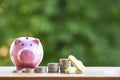 Happy Pink piggy Bank in close-up and coins stack on wooden table and nature background, Royalty Free Stock Photo