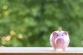 Happy Pink piggy Bank in close-up and coins stack on wooden table and nature background, Royalty Free Stock Photo