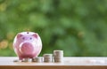 Happy Pink piggy Bank in close-up and coins stack on wooden table and nature background, Royalty Free Stock Photo