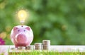 Happy Pink Piggy Bank and Light bulb in close-up and coins stack in the nature background Royalty Free Stock Photo