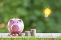 Happy Pink Piggy Bank and Light bulb in close-up and coins stack in the nature background Royalty Free Stock Photo