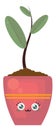 Happy plant pot, illustration, vector