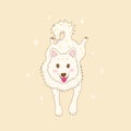 Happy playful white dog lies and looking cute. Vector