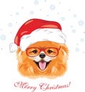 Happy Pomeranian dog in a Christmas hat. Festive design for postcard