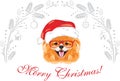 Happy Pomeranian dog wearing eyeglasses and Santa hat. Christmas design for postcard