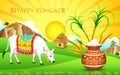 Happy Pongal Royalty Free Stock Photo