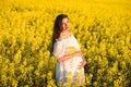 Happy pregnant girl waiting for twins. Belly of a pregnant woman. Twins Royalty Free Stock Photo