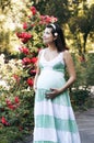 Happy pregnant woman Royalty Free Stock Photo