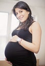 Happy Pregnant Woman Royalty Free Stock Photo