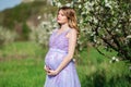 Happy pregnant woman in spring blossom garden Royalty Free Stock Photo