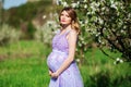 Happy pregnant woman in spring blossom garden Royalty Free Stock Photo