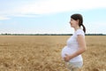 Happy pregnant woman in the summer field