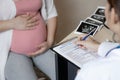 Pregnant Woman and Gynecologist Doctor at Hospital Royalty Free Stock Photo