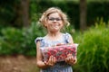 Happy preschool girl holding box with healthy strawberries from organic berry farm in summer, on sunny day. Smiling Royalty Free Stock Photo