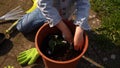 Happy Preschool little girl kid Daughter wear works gloves humic boots planting flowers in pot in garden. Child Helping Royalty Free Stock Photo