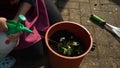 Happy Preschool little girl kid Daughter wear works gloves humic boots planting flowers in pot in garden. Child Helping Royalty Free Stock Photo