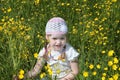 Happy pretty little girl sits among yellow flowers Royalty Free Stock Photo