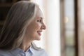 Happy pretty mature woman looking out of window away Royalty Free Stock Photo