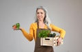 Happy proud senior woman in apron hold wooden box with eco vegetables, enjoy harvest Royalty Free Stock Photo