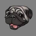 Happy pug Royalty Free Stock Photo