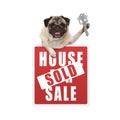 Happy pug puppy dog hanging with paws on red house sold sign holding up house key Royalty Free Stock Photo