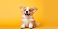 Happy puppy dog smiling on isolated yellow background Royalty Free Stock Photo