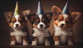 Happy puppy dogs wearing party hats celebrating puppies