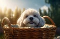 Happy puppy gift basket canine. Generate Ai Royalty Free Stock Photo
