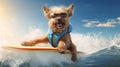 Happy puppy on summer vacation is surfing on the sea. Dog on the board floats on the wave