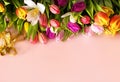 Tulip flowers on pink background Happy wishes greetings text   tulip colorful  festive bouquet floral   women day Happy Valentine Royalty Free Stock Photo