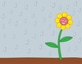 Happy Rainy Flower