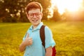 Content schoolboy showing like sign in park Royalty Free Stock Photo