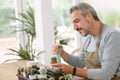 Happy relaxed Middle aged Caucasian man taking care and watering houseplants with cactus mister spray at home. Hobby of plant, Royalty Free Stock Photo