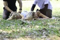 Happy relaxing two young beautiful teen girls getting a massage by men while going on a picnic in summer garden park Royalty Free Stock Photo