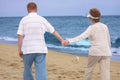 Happy retired couple holding hands Royalty Free Stock Photo