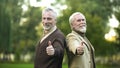 Happy retired gentlemen showing thumbs up and looking in camera, companions Royalty Free Stock Photo