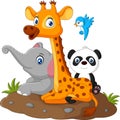 Happy safari animal cartoon Royalty Free Stock Photo