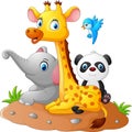 Happy safari animal cartoon Royalty Free Stock Photo