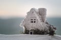 Happy Santa Claus Doll on Christmas time with tree and snow. Blurred outdoor background. Santa Clause and Merry Christmas model fi Royalty Free Stock Photo