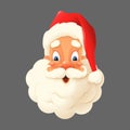 Happy Santa Claus isolated - expression face vector illustration