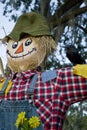 Happy Scarecrow with daisies Royalty Free Stock Photo