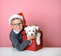 Happy school child in Christmas hat opening Christmas gift box with a puppy inside. Great present for kid to New year Royalty Free Stock Photo