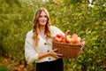 Happy school girl and beautiful mother with red apples in organic orchard. Happy woman and kid daughter picking ripe Royalty Free Stock Photo