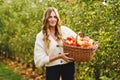 Happy school girl and beautiful mother with red apples in organic orchard. Happy woman and kid daughter picking ripe Royalty Free Stock Photo