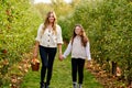 Happy school girl and beautiful mother with red apples in organic orchard. Happy woman and kid daughter picking ripe Royalty Free Stock Photo