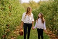 Happy school girl and beautiful mother with red apples in organic orchard. Happy woman and kid daughter picking ripe Royalty Free Stock Photo