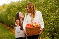 Happy school girl and beautiful mother with red apples in organic orchard. Happy woman and kid daughter picking ripe Royalty Free Stock Photo