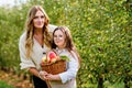 Happy school girl and beautiful mother with red apples in organic orchard. Happy woman and kid daughter picking ripe Royalty Free Stock Photo