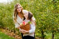 Happy school girl and beautiful mother with red apples in organic orchard. Happy woman and kid daughter picking ripe Royalty Free Stock Photo